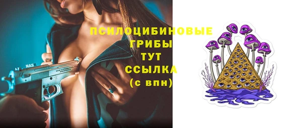 соль ск Алзамай