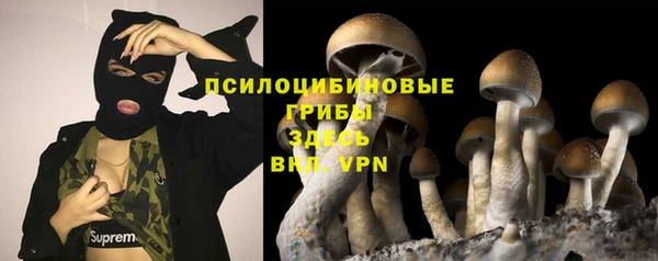 трава Абаза