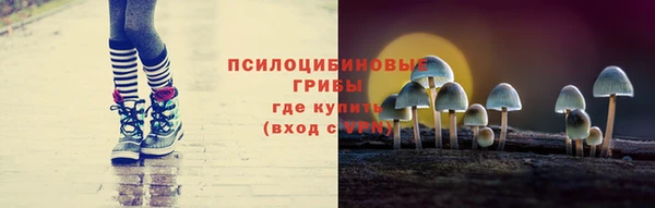 a pvp Алексин