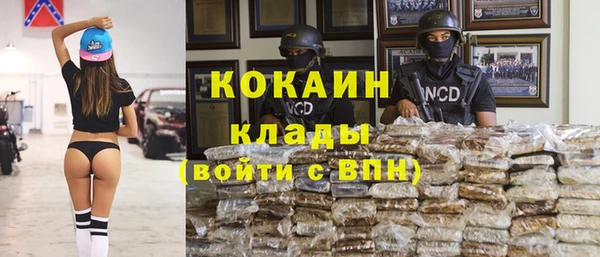 трава Абаза